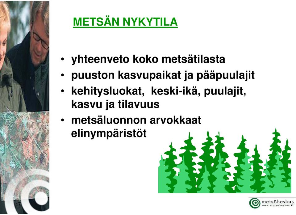 pääpuulajit kehitysluokat, keski-ikä,