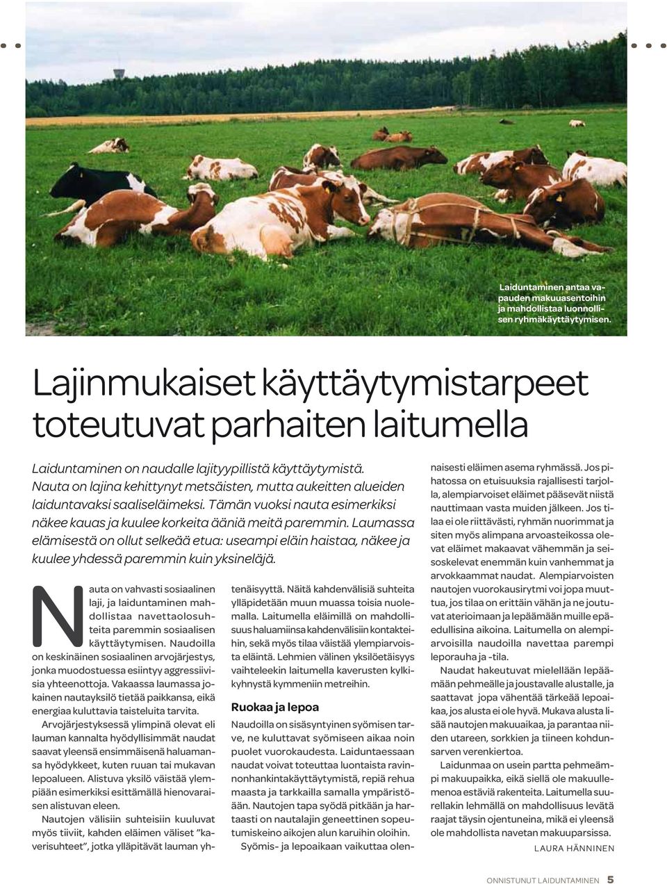 Nauta on lajina kehittynyt metsäisten, mutta aukeitten alueiden laiduntavaksi saaliseläimeksi. Tämän vuoksi nauta esimerkiksi näkee kauas ja kuulee korkeita ääniä meitä paremmin.