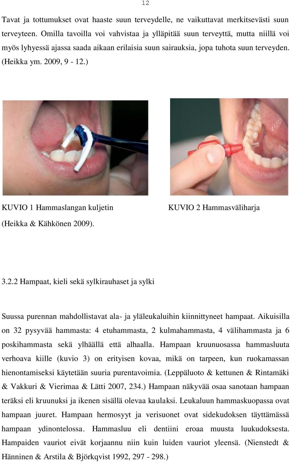 ) KUVIO 1 Hammaslangan kuljetin KUVIO 2 Hammasväliharja (Heikka & Kähkönen 2009). 3.2.2 Hampaat, kieli sekä sylkirauhaset ja sylki Suussa purennan mahdollistavat ala- ja yläleukaluihin kiinnittyneet hampaat.