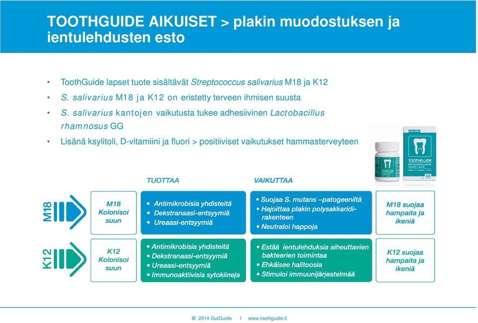 salivarius M18 ja K12 on eristetty terveen ihmisen suusta S.