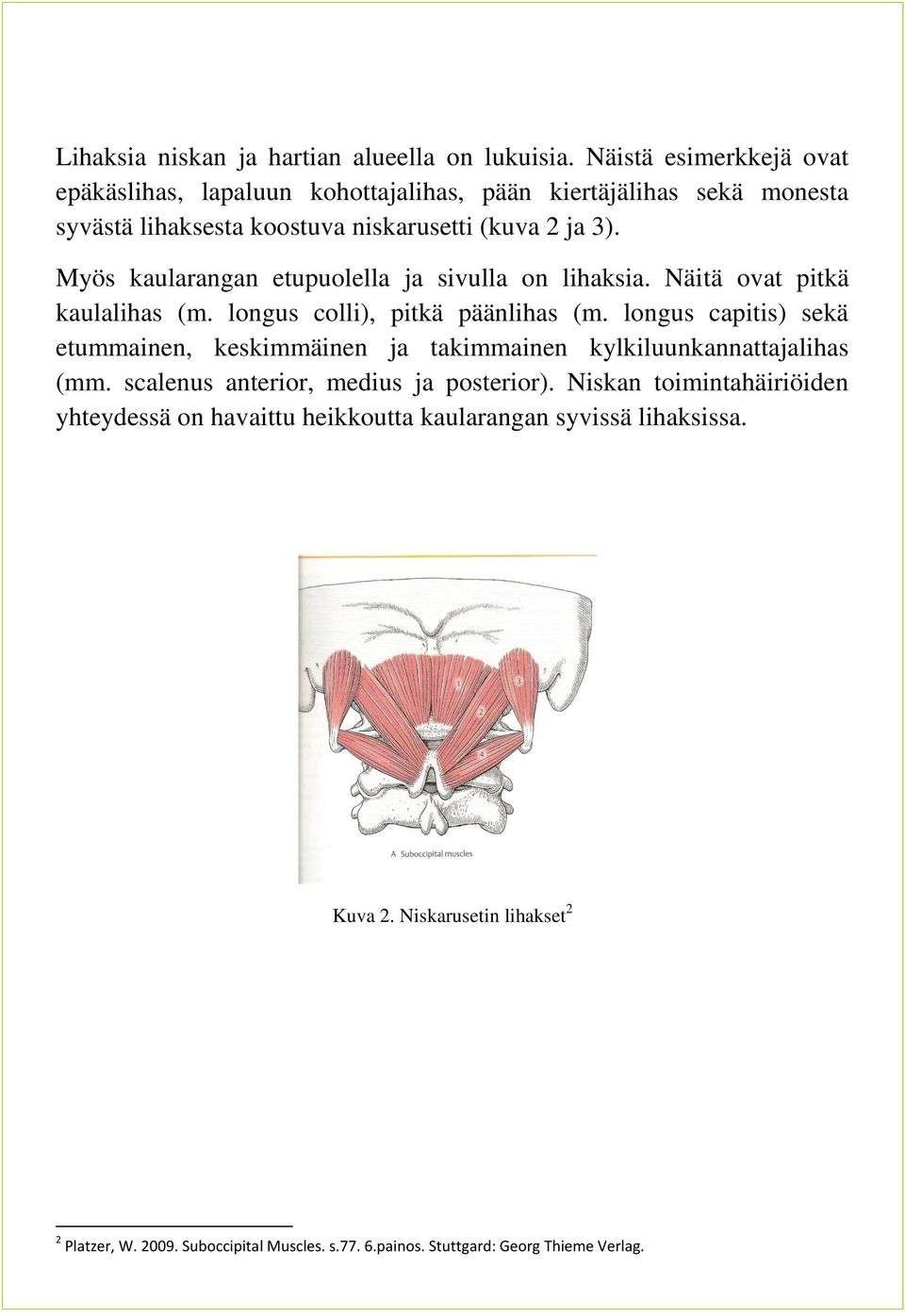 Myös kaularangan etupuolella ja sivulla on lihaksia. Näitä ovat pitkä kaulalihas (m. longus colli), pitkä päänlihas (m.