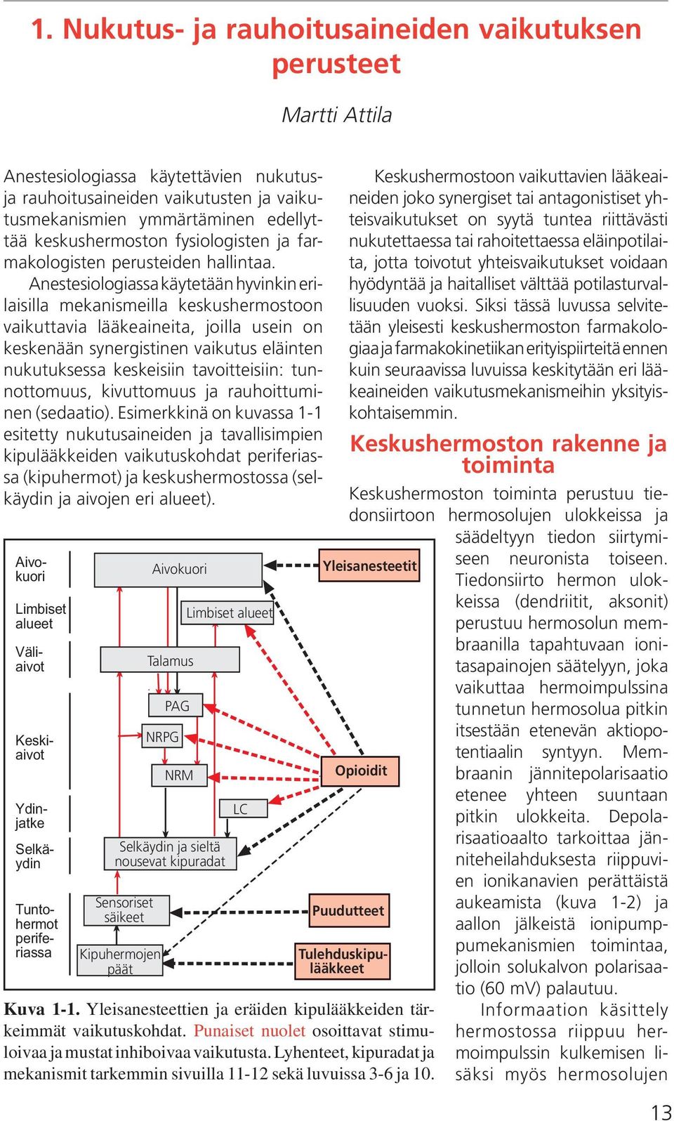 Anestesiologiassa käytetään hyvinkin erilaisilla mekanismeilla keskushermostoon vaikuttavia lääkeaineita, joilla usein on keskenään synergistinen vaikutus eläinten nukutuksessa keskeisiin