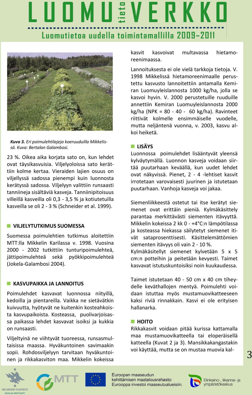 Tanniinipitoisuus villeillä kasveilla oli 0,3-3,5 % ja kotiutetuilla kasveilla se oli 2-3 % (Schneider et al. 1999).