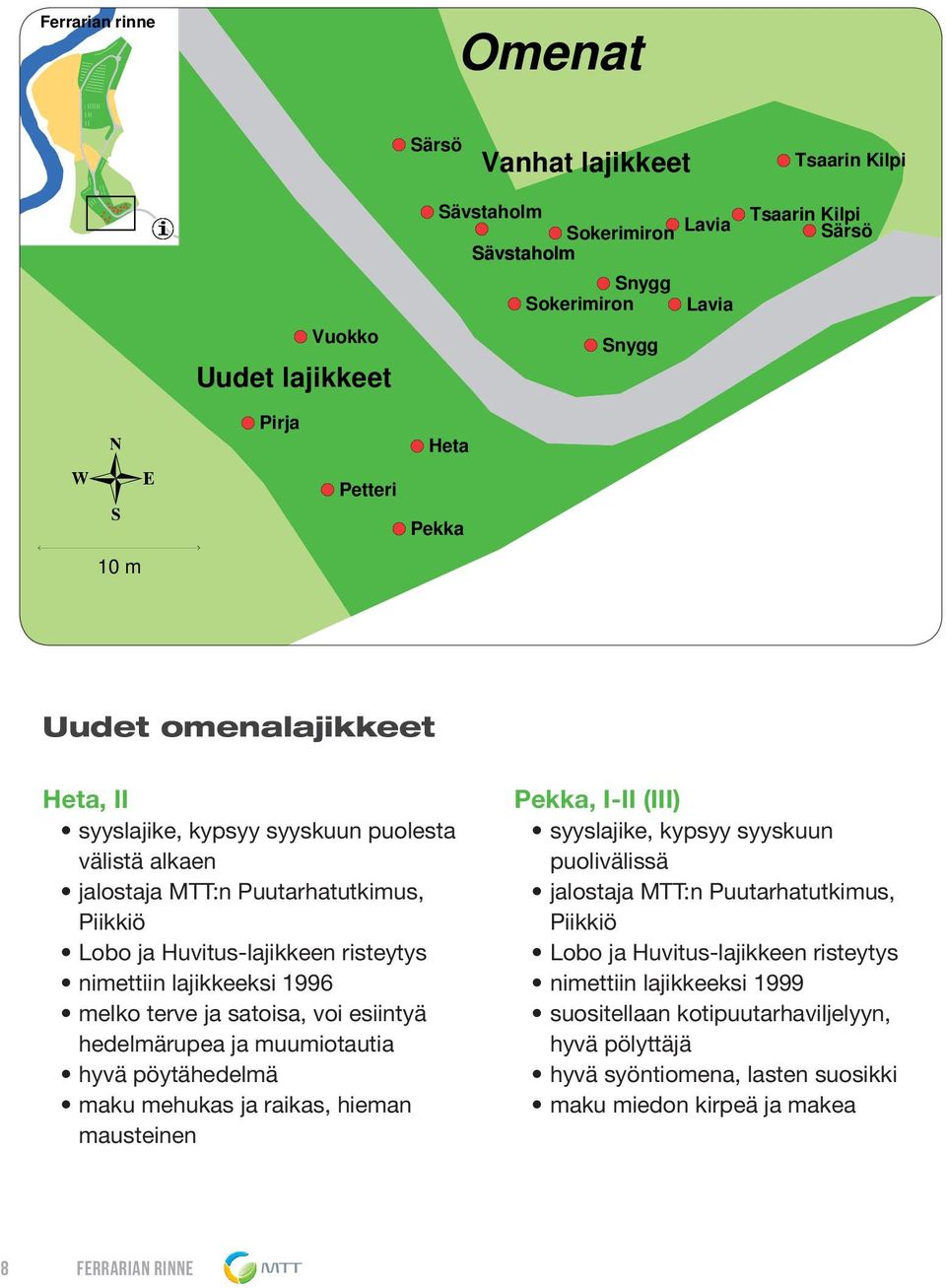 terve ja satoisa, voi esiintyä hedelmärupea ja muumiotautia hyvä pöytähedelmä maku mehukas ja raikas, hieman mausteinen Pekka, I-II (III) syyslajike, kypsyy syyskuun puolivälissä jalostaja MTT:n