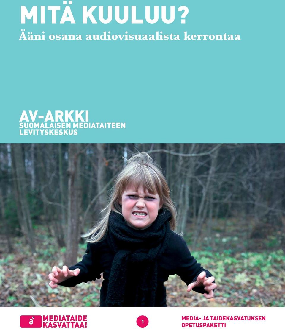 audiovisuaalista
