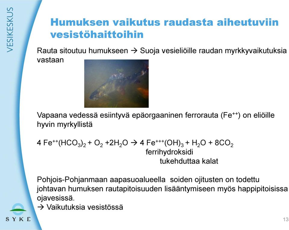 (HCO 3 ) 2 + O 2 +2H 2 O 4 Fe +++ (OH) 3 + H 2 O + 8CO 2 ferrihydroksidi tukehduttaa kalat Pohjois-Pohjanmaan