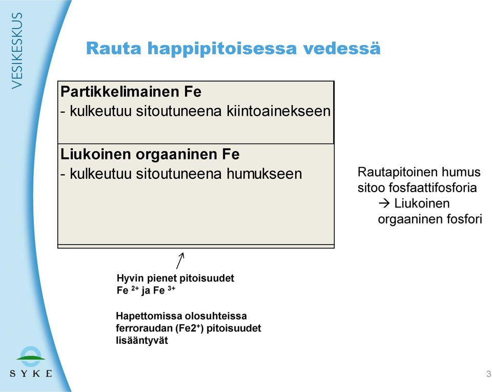 Rautapitoinen humus sitoo fosfaattifosforia Liukoinen orgaaninen fosfori Hyvin