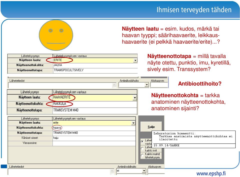 haavaerite/erite).