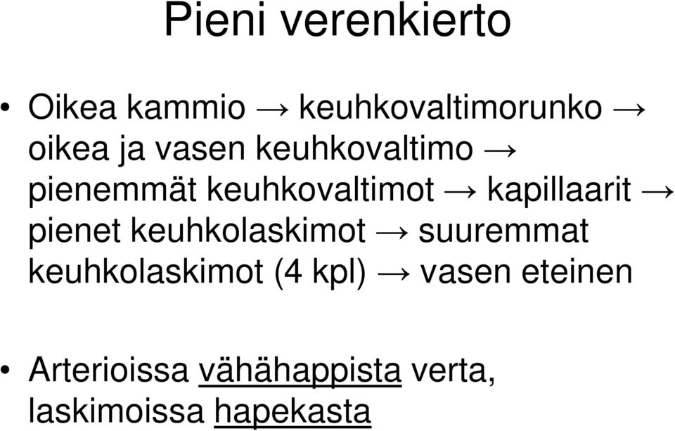 pienet keuhkolaskimot suuremmat keuhkolaskimot (4 kpl)