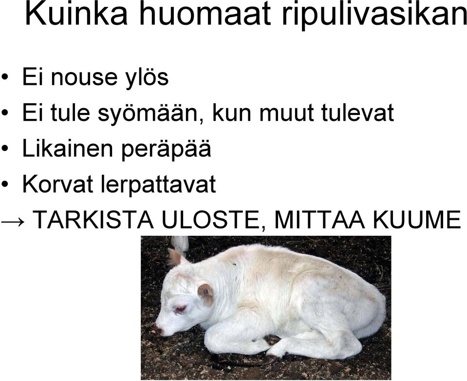 muut tulevat Likainen peräpää