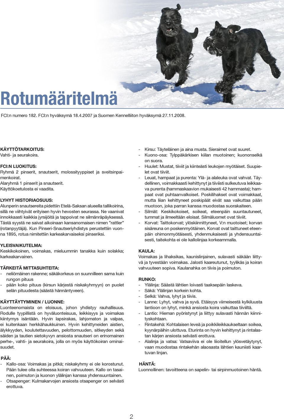 LYHYT HISTORIAOSUUS: Alunperin snautsereita pidettiin Etelä-Saksan alueella tallikoirina, sillä ne viihtyivät erityisen hyvin hevosten seurassa.