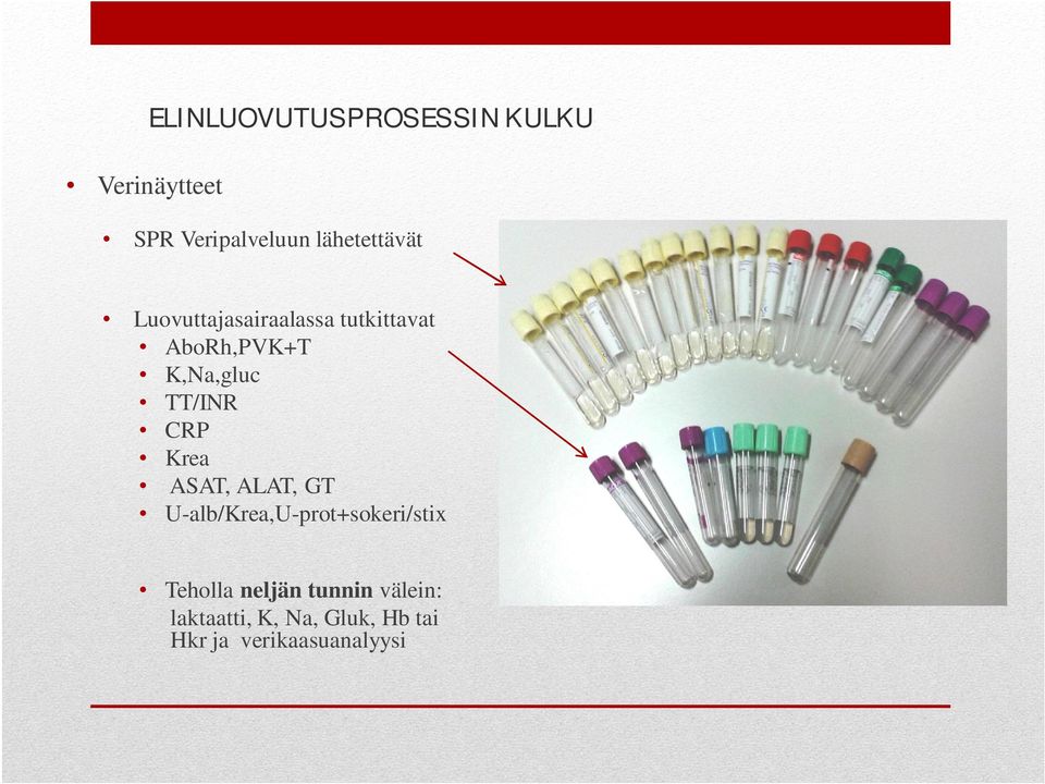 TT/INR CRP Krea ASAT, ALAT, GT U-alb/Krea,U-prot+sokeri/stix Teholla