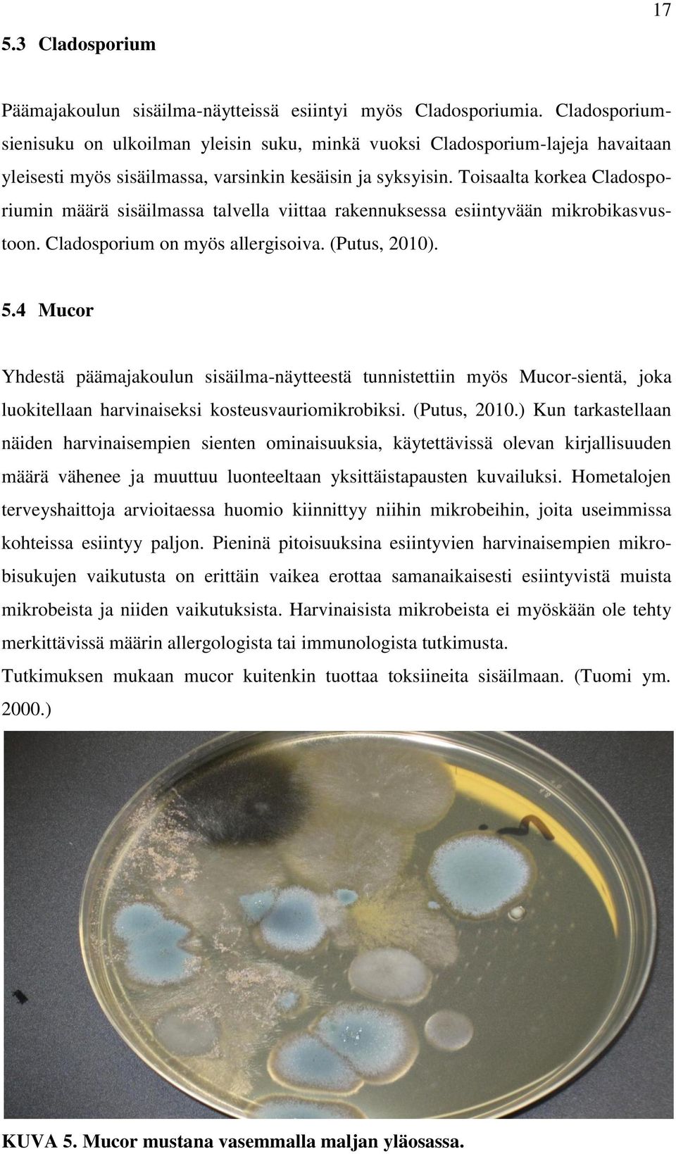 Toisaalta korkea Cladosporiumin määrä sisäilmassa talvella viittaa rakennuksessa esiintyvään mikrobikasvustoon. Cladosporium on myös allergisoiva. (Putus, 2010). 5.