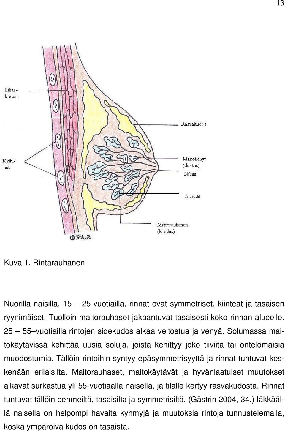 Tällöin rintoihin syntyy epäsymmetrisyyttä ja rinnat tuntuvat keskenään erilaisilta.