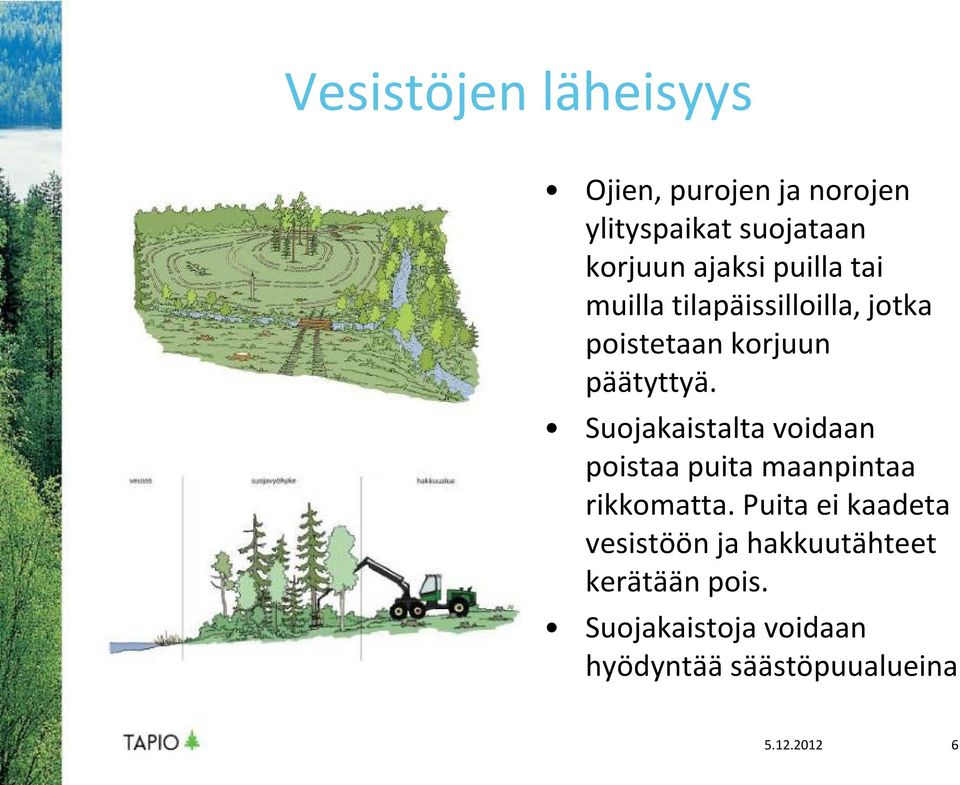 Suojakaistalta voidaan poistaa puita maanpintaa rikkomatta.