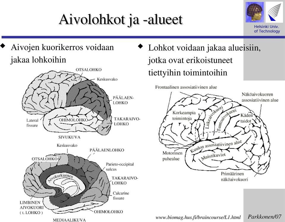 alueisiin, jotka ovat erikoistuneet