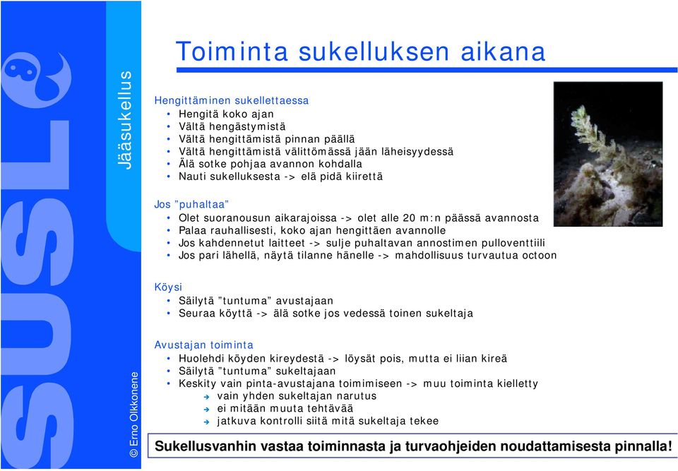 kahdennetut laitteet -> sulje puhaltavan annostimen pulloventtiili Jos pari lähellä, näytä tilanne hänelle -> mahdollisuus turvautua octoon Köysi Säilytä tuntuma avustajaan Seuraa köyttä -> älä sotke