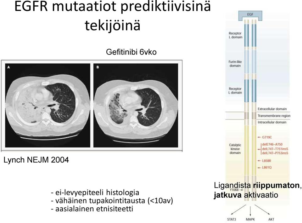 vähäinen tupakointitausta (<10av) - aasialainen