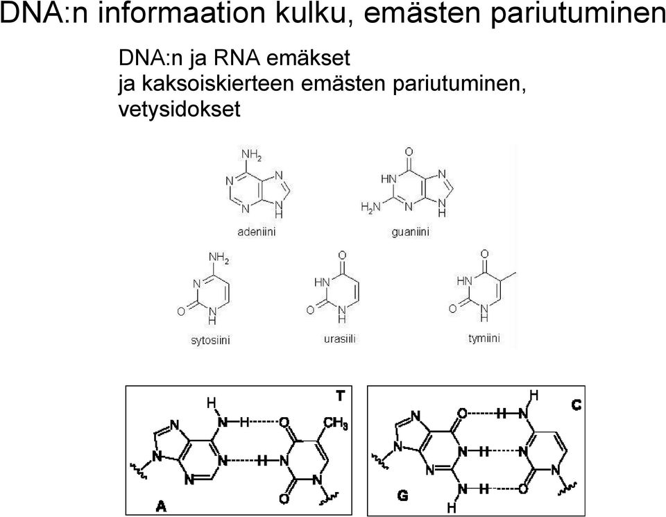 RNA emäkset ja kaksoiskierteen