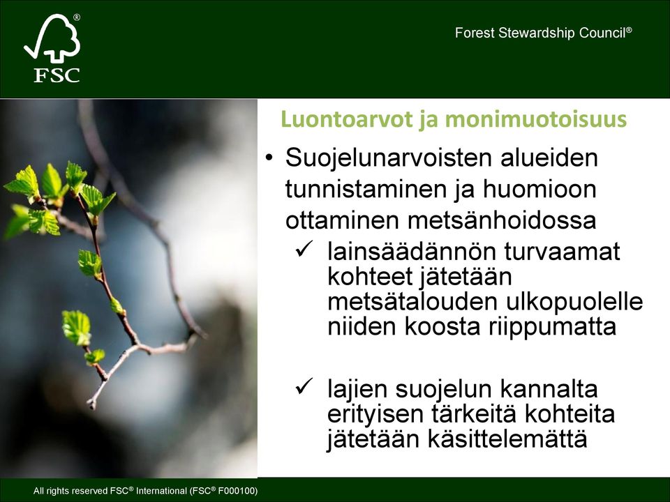 turvaamat kohteet jätetään metsätalouden ulkopuolelle niiden koosta