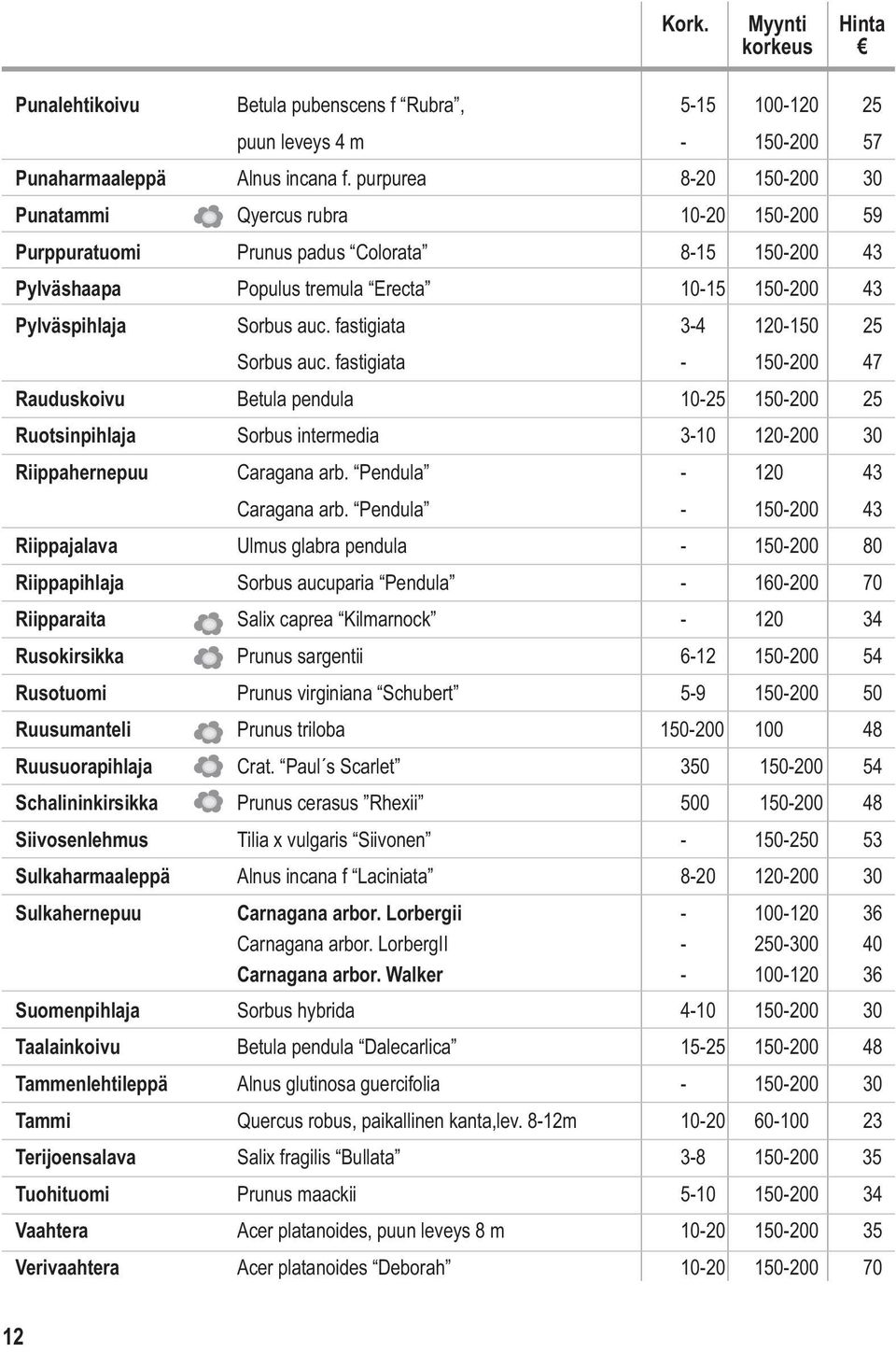 fastigiata 3-4 120-150 25 Sorbus auc. fastigiata - 150-200 47 Rauduskoivu Betula pendula 10-25 150-200 25 Ruotsinpihlaja Sorbus intermedia 3-10 120-200 30 Riippahernepuu Caragana arb.