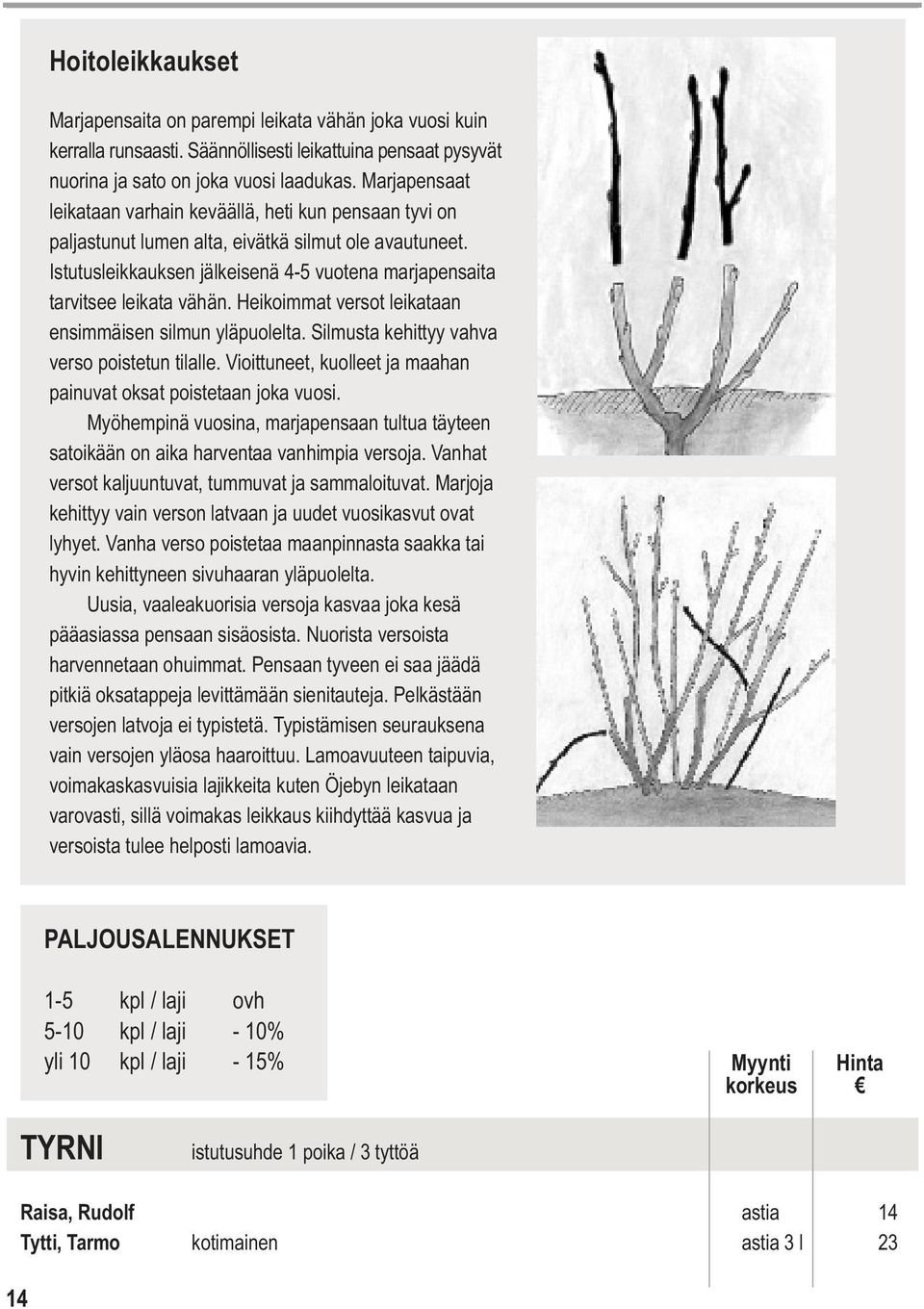 Istutusleikkauksen jälkeisenä 4-5 vuotena marjapensaita tarvitsee leikata vähän. Heikoimmat versot leikataan ensimmäisen silmun yläpuolelta. Silmusta kehittyy vahva verso poistetun tilalle.