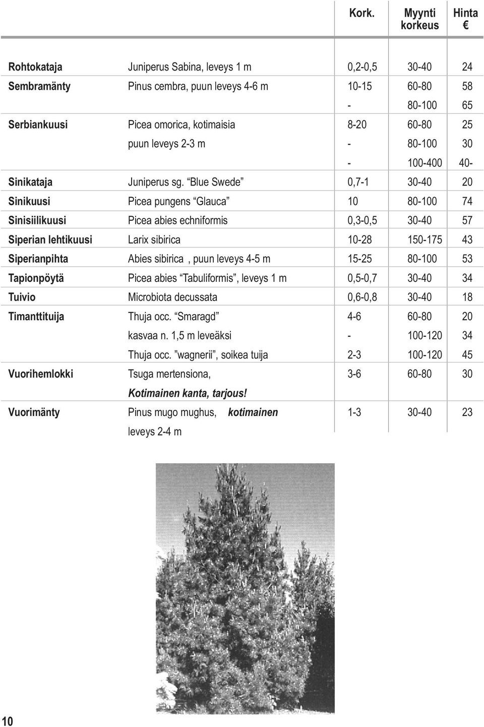 Blue Swede 0,7-1 30-40 20 Sinikuusi Picea pungens Glauca 10 80-100 74 Sinisiilikuusi Picea abies echniformis 0,3-0,5 30-40 57 Siperian lehtikuusi Larix sibirica 10-28 150-175 43 Siperianpihta Abies