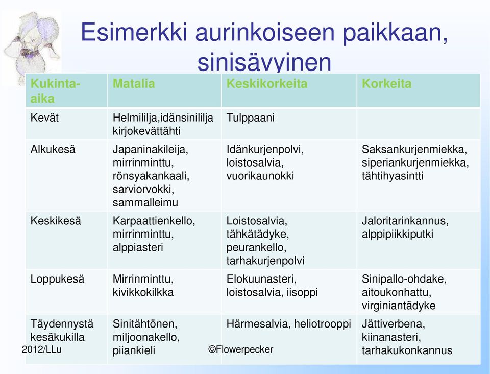 miljoonakello, piiankieli Tulppaani Idänkurjenpolvi, loistosalvia, vuorikaunokki Loistosalvia, tähkätädyke, peurankello, tarhakurjenpolvi Elokuunasteri, loistosalvia, iisoppi