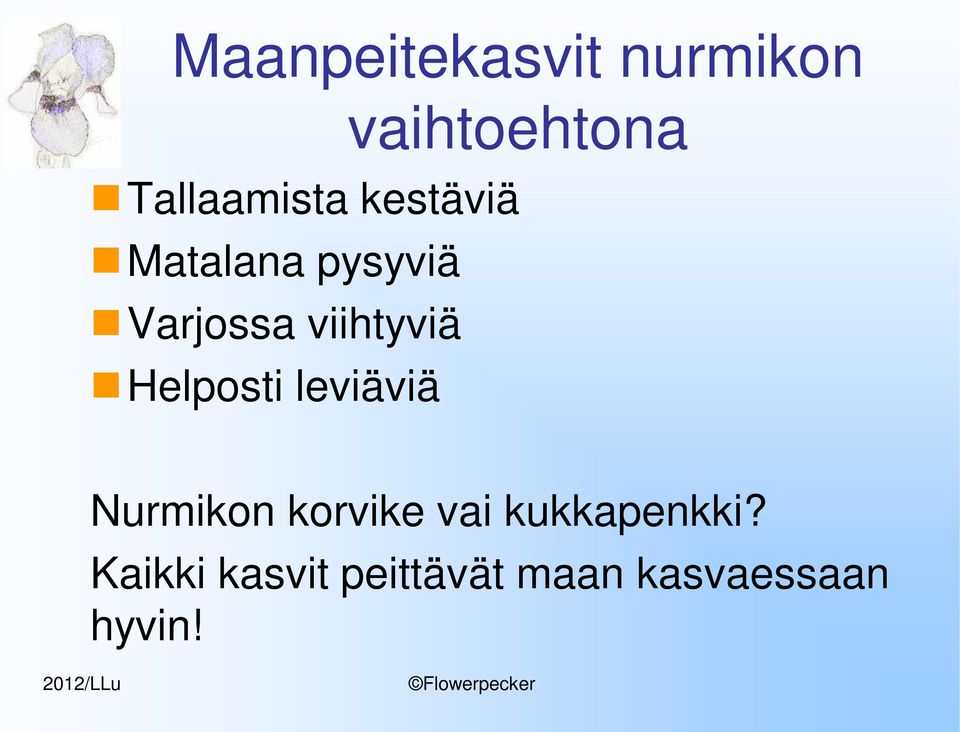 viihtyviä Helposti leviäviä Nurmikon korvike vai