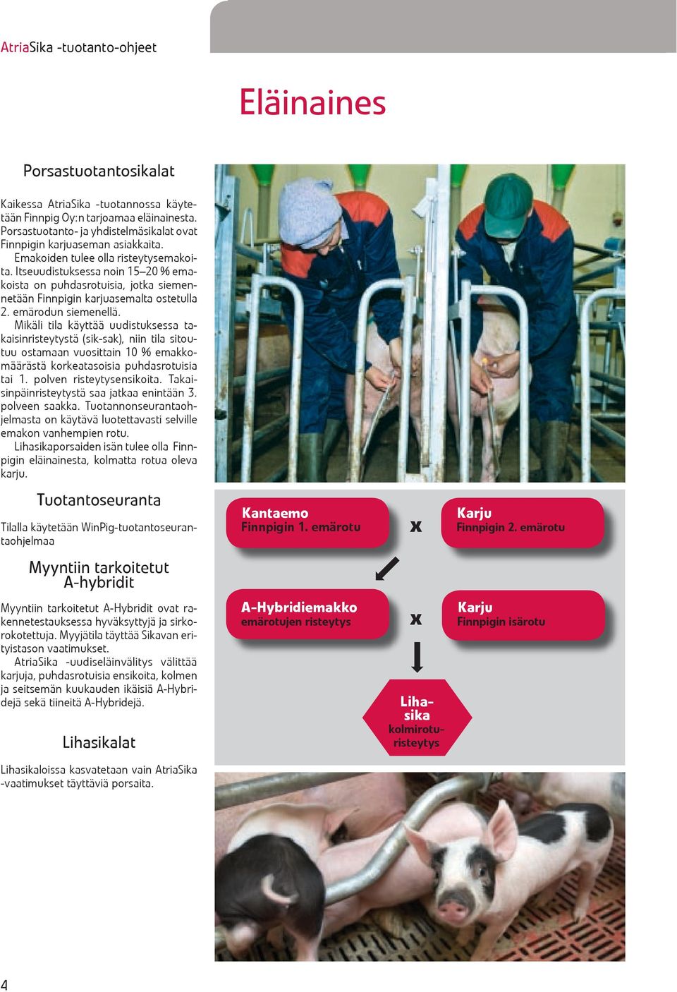 Itseuudistuksessa noin 15 20 % emakoista on puhdasrotuisia, jotka siemennetään Finnpigin karjuasemalta ostetulla 2. emärodun siemenellä.