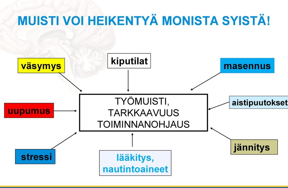 stressi TYÖMUISTI, TARKKAAVUUS