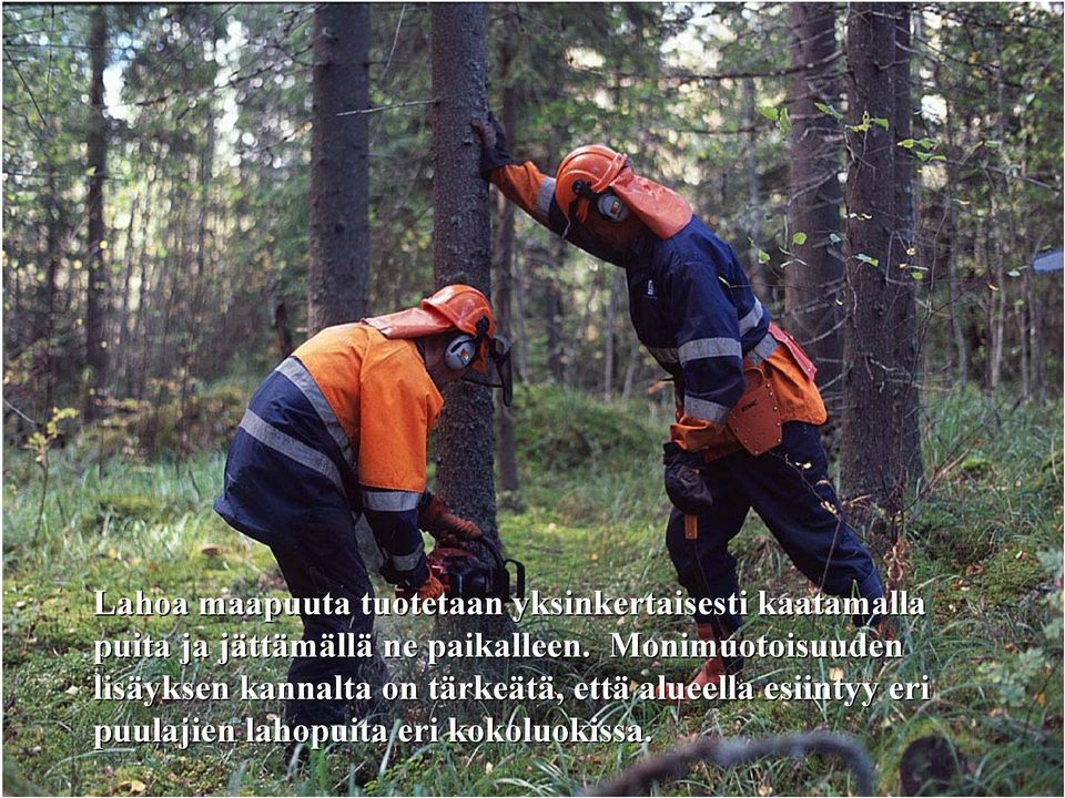 Monimuotoisuuden lisäyksen kannalta on tärkeätä,