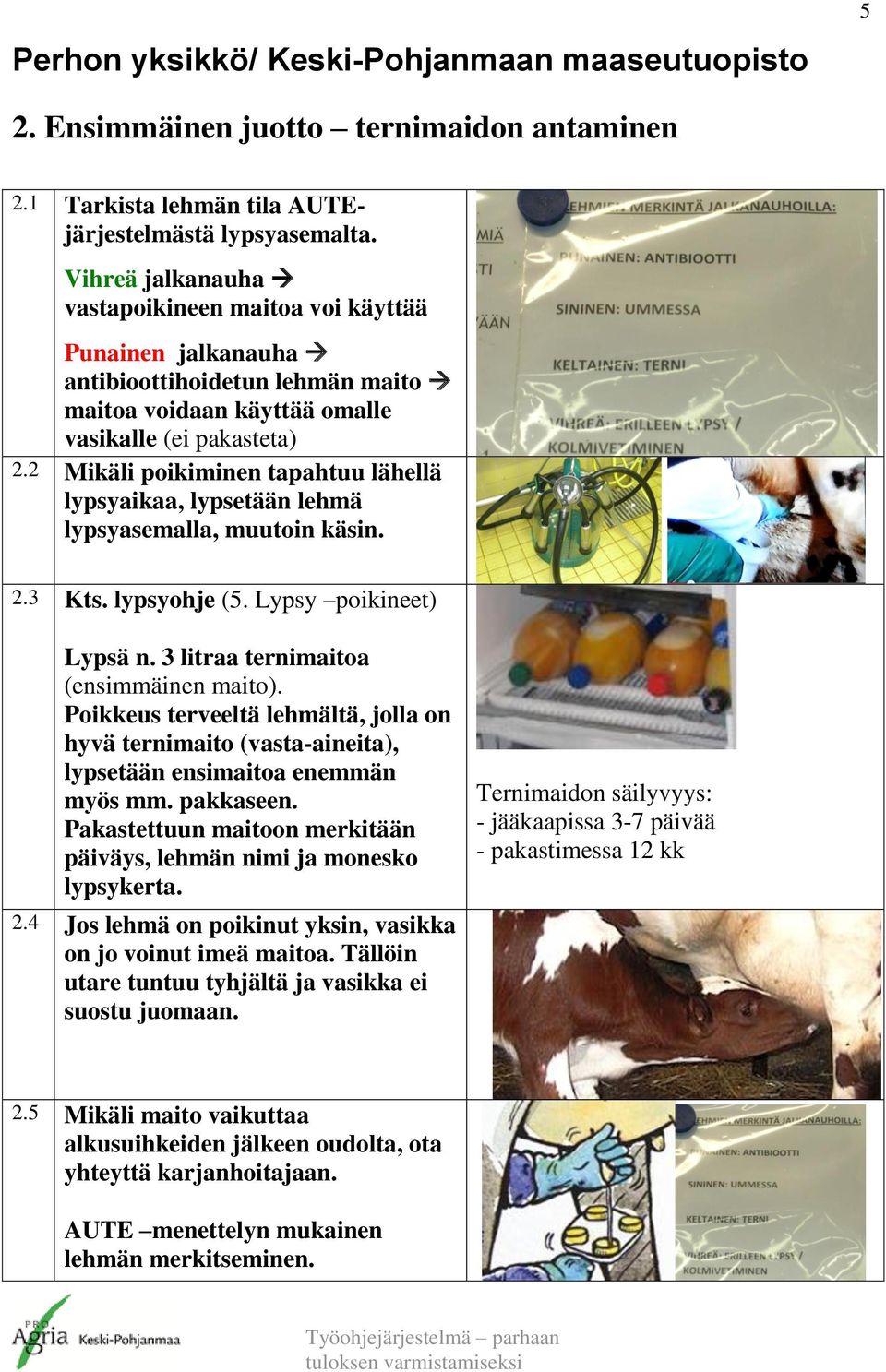 2 Mikäli poikiminen tapahtuu lähellä lypsyaikaa, lypsetään lehmä lypsyasemalla, muutoin käsin. 2.3 Kts. lypsyohje (5. Lypsy poikineet) Lypsä n. 3 litraa ternimaitoa (ensimmäinen maito).