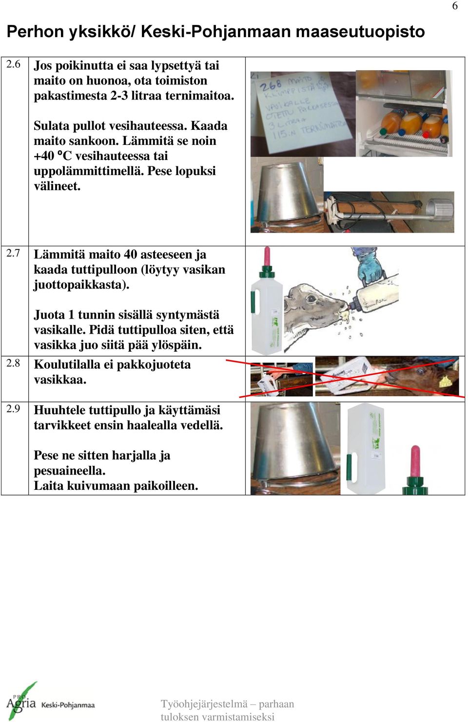 7 Lämmitä maito 40 asteeseen ja kaada tuttipulloon (löytyy vasikan juottopaikkasta). Juota 1 tunnin sisällä syntymästä vasikalle.