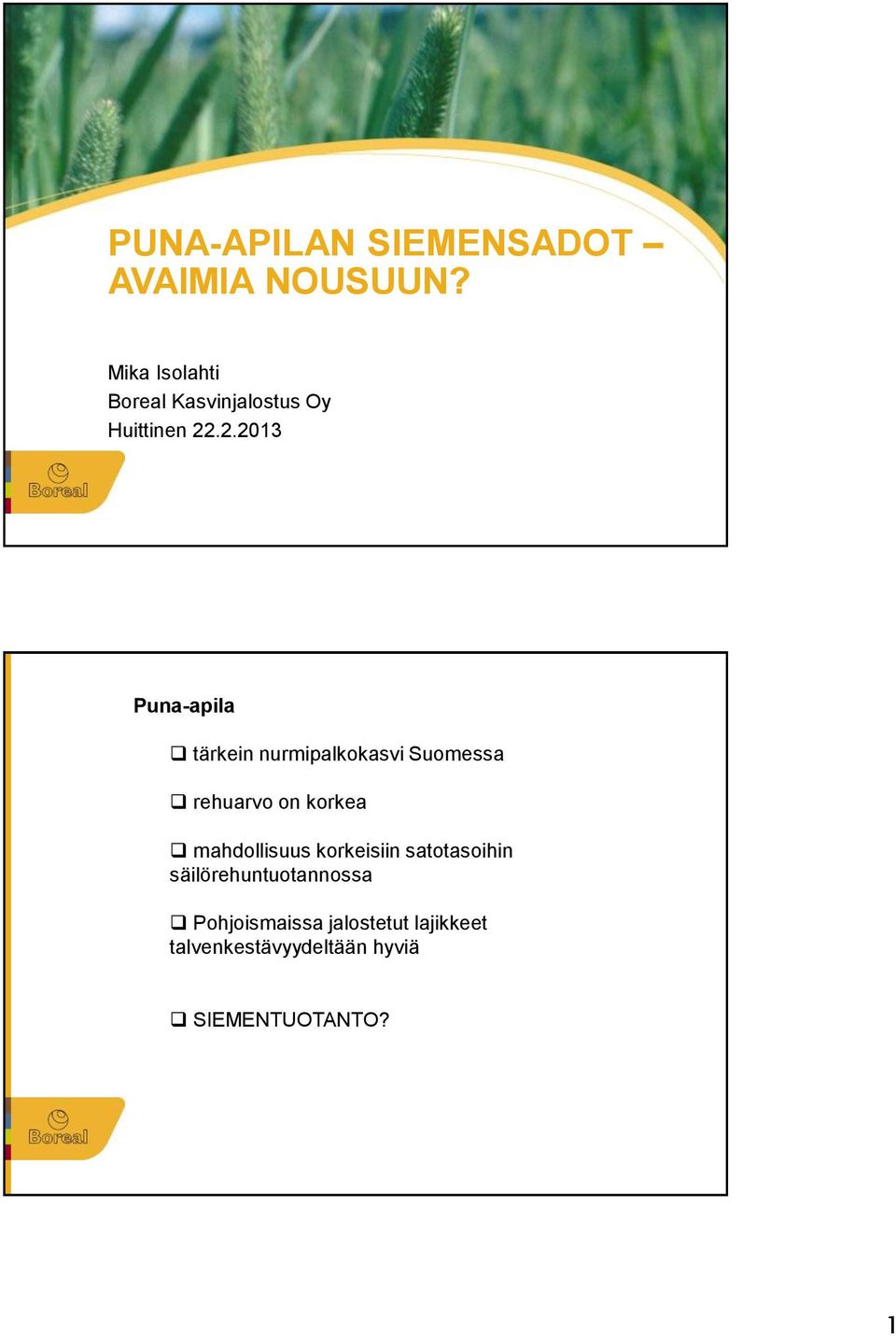 .2.2013 Puna-apila tärkein nurmipalkokasvi Suomessa rehuarvo on korkea