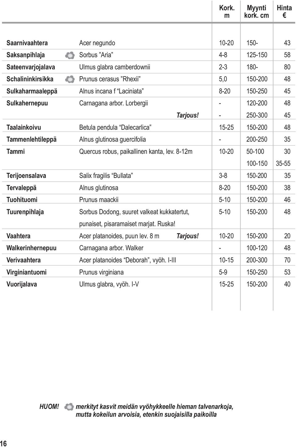 Sulkaharmaaleppä Alnus incana f Laciniata 8-20 150-250 45 Sulkahernepuu Carnagana arbor. Lorbergii - 120-200 48 Tarjous!