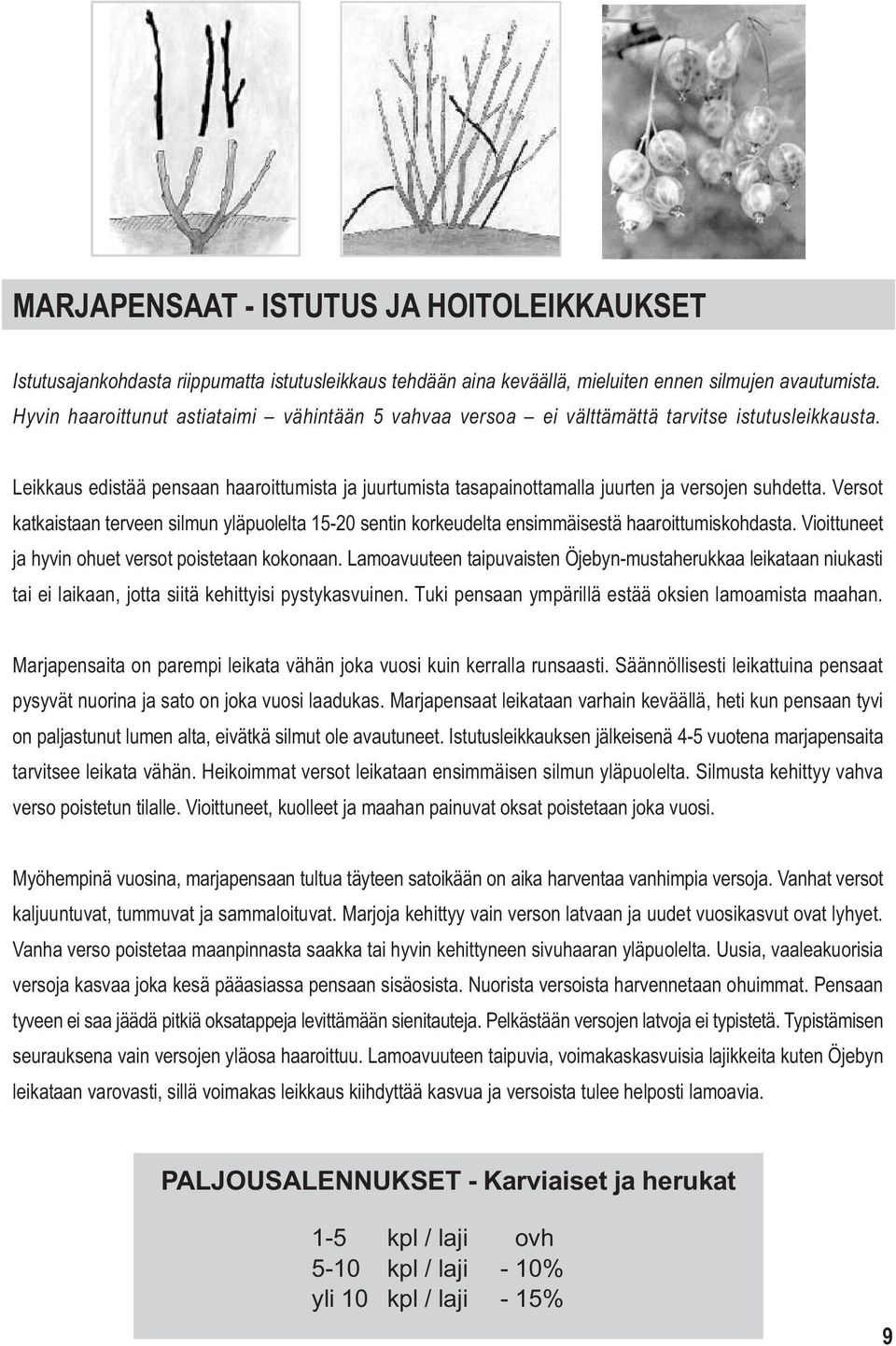 Leikkaus edistää pensaan haaroittumista ja juurtumista tasapainottamalla juurten ja versojen suhdetta.