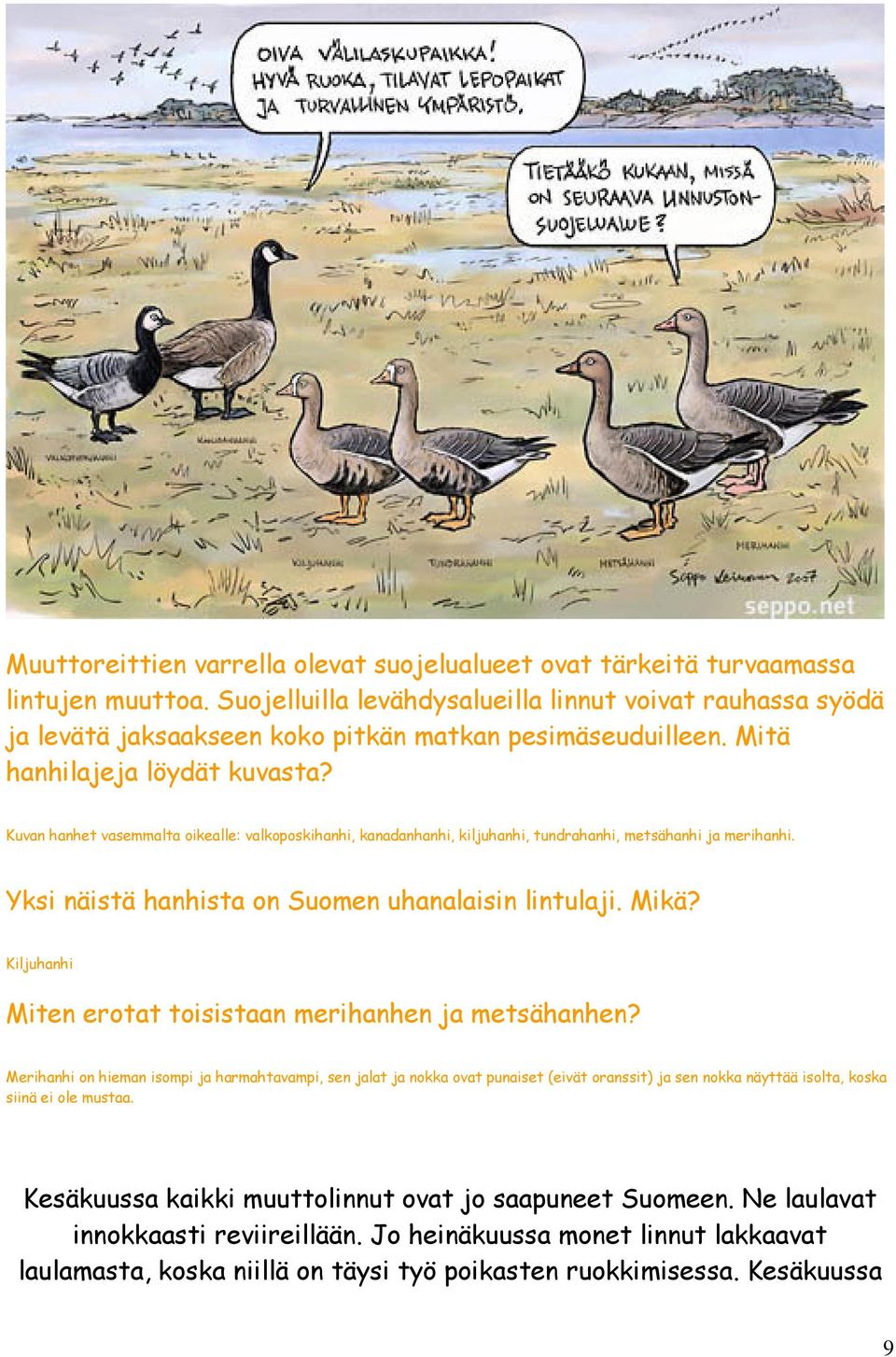 opettaja opiskelija suhde porno