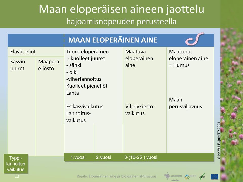 -viherlannoitus Kuolleet pieneliöt Lanta Esikasvivaikutus Lannoitusvaikutus Maatuva eloperäinen aine