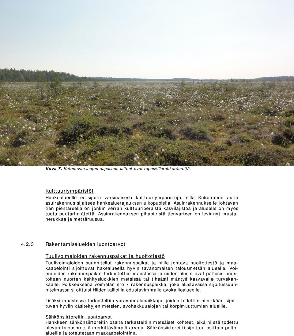 Asuinrakennukselle johtavan tien pientareella on jonkin verran kulttuuriperäistää kasvilajistoa ja alueelle on myös tuotu puutarhajätettä.