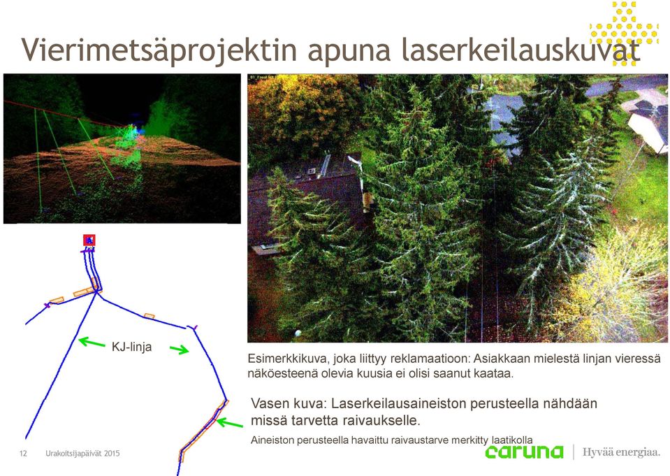 kuusia ei olisi saanut kaataa.