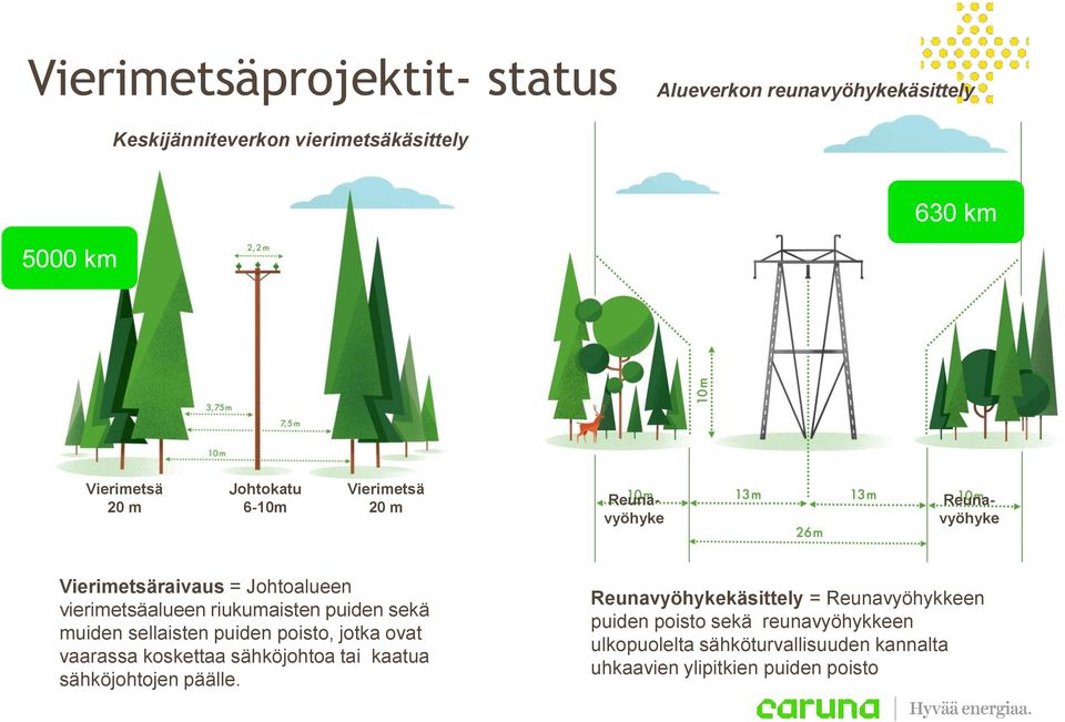 sekä muiden sellaisten puiden poisto, jotka ovat vaarassa koskettaa sähköjohtoa tai kaatua sähköjohtojen päälle.