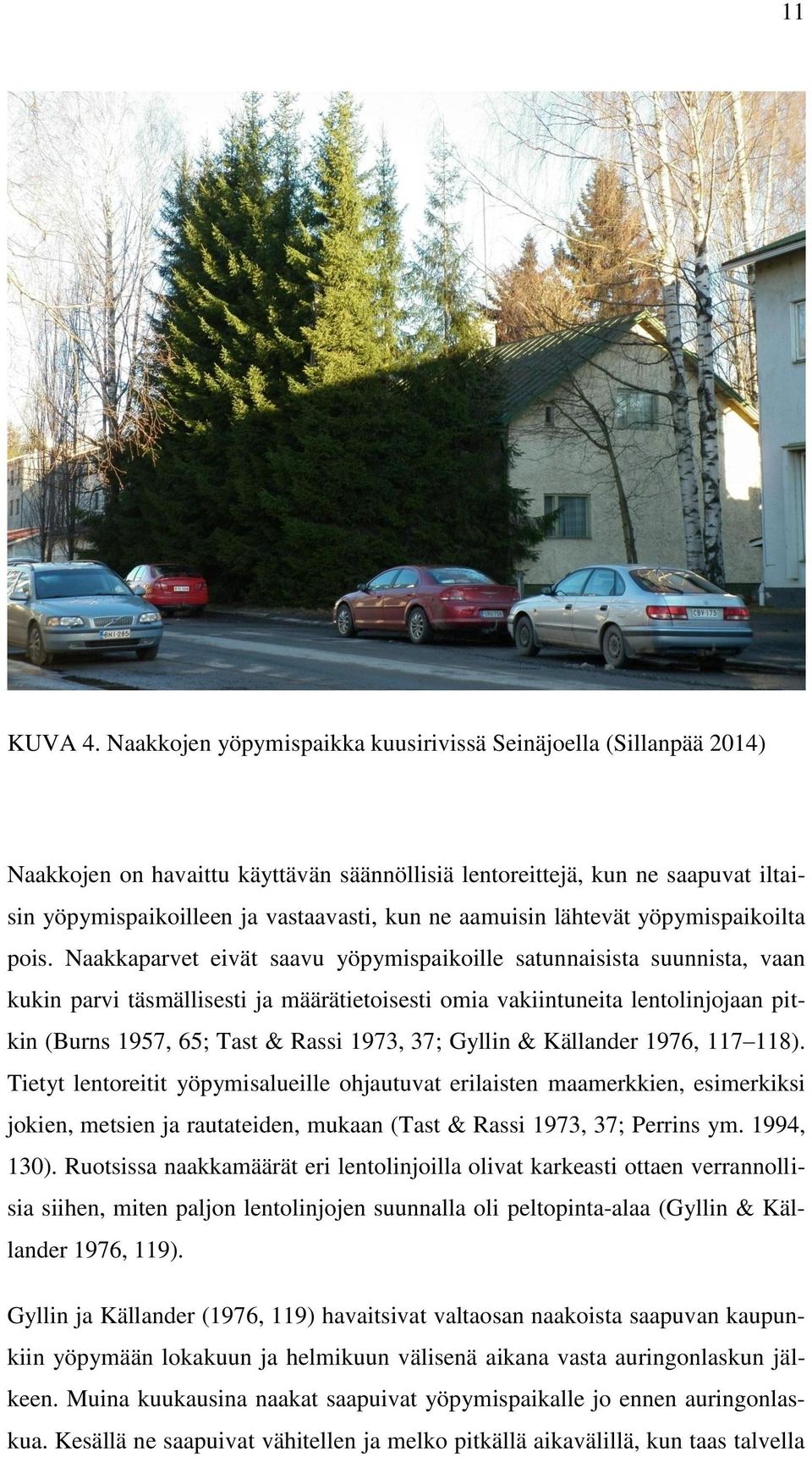 aamuisin lähtevät yöpymispaikoilta pois.