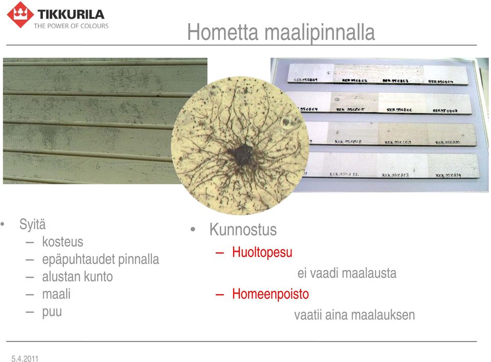 puu Kunnostus Huoltopesu ei vaadi