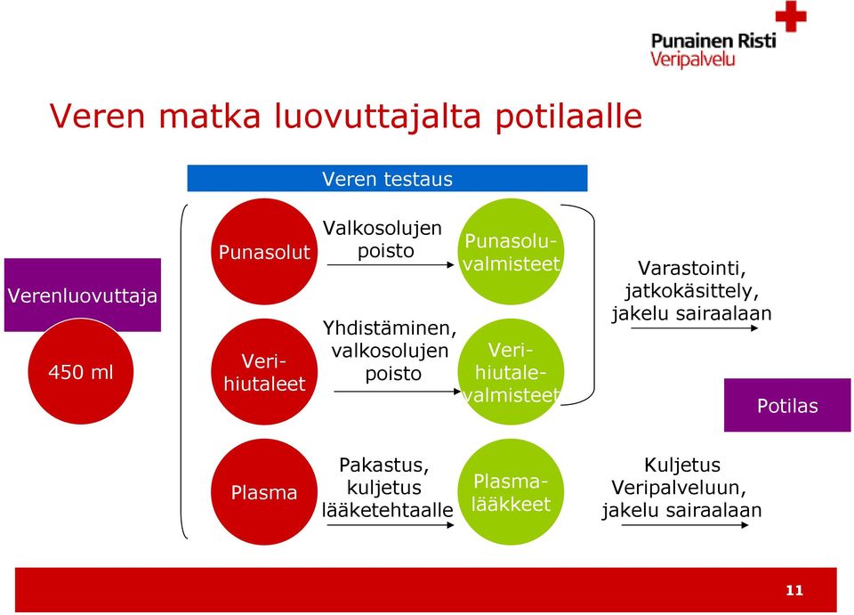 Punasoluvalmisteet Varastointi, jatkokäsittely, jakelu sairaalaan Potilas Plasma