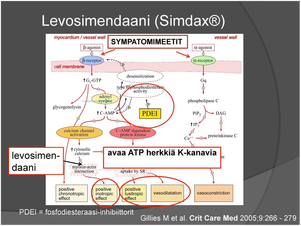 PDEI = fosfodiesteraasi-inhibiittorit