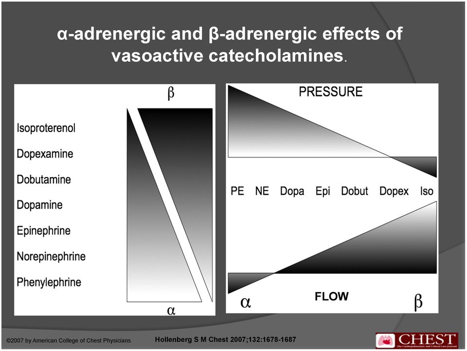 FLOW 2007 by American College of Chest