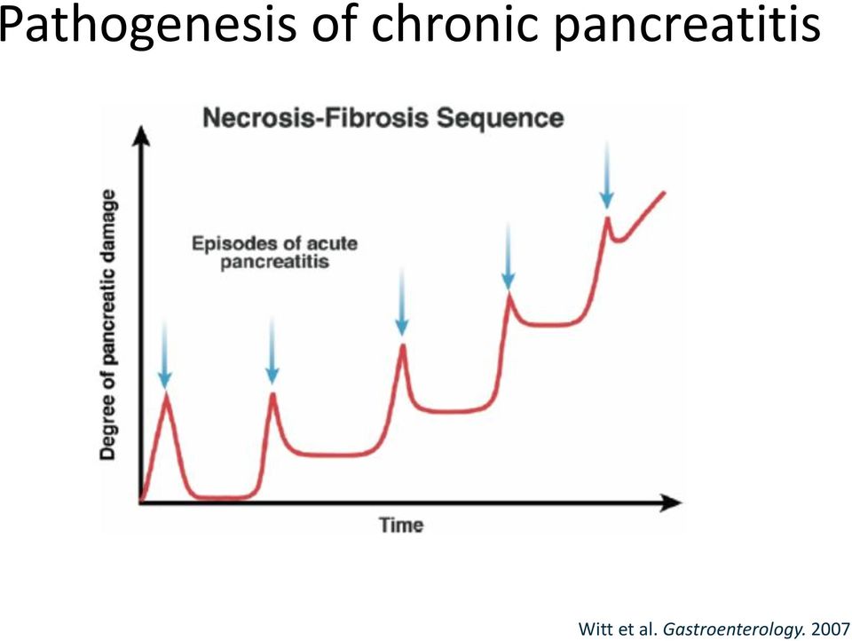 pancreatitis Witt