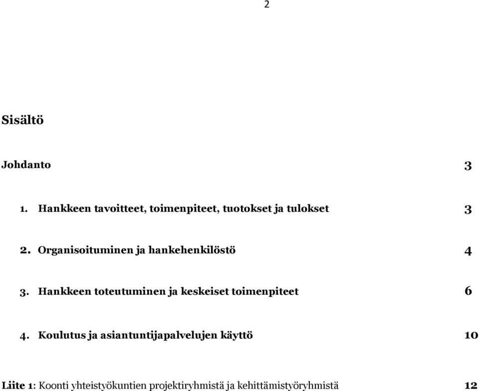 Organisoituminen ja hankehenkilöstö 4 3.