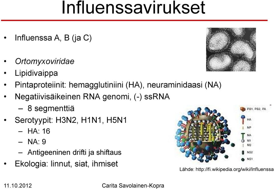 genomi, (-) ssrna 8 segmenttiä Serotyypit: H3N2, H1N1, H5N1 HA: 16 NA: 9